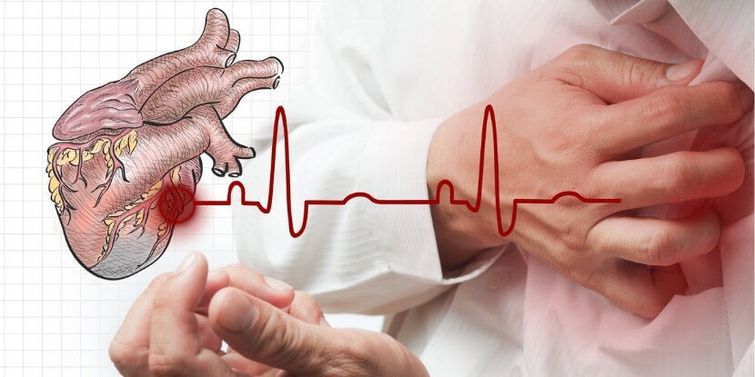 Сердце-и-пульс-лечебное-питание-при-болезнях-сердца-и-сосудов-Академия-Wellness-Consulting